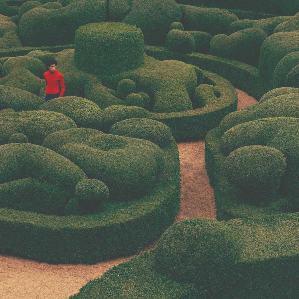 [로션] 스플렌더 인 더 그래스