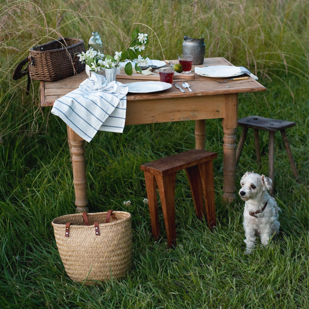 [핸드 크림] 스프링 원