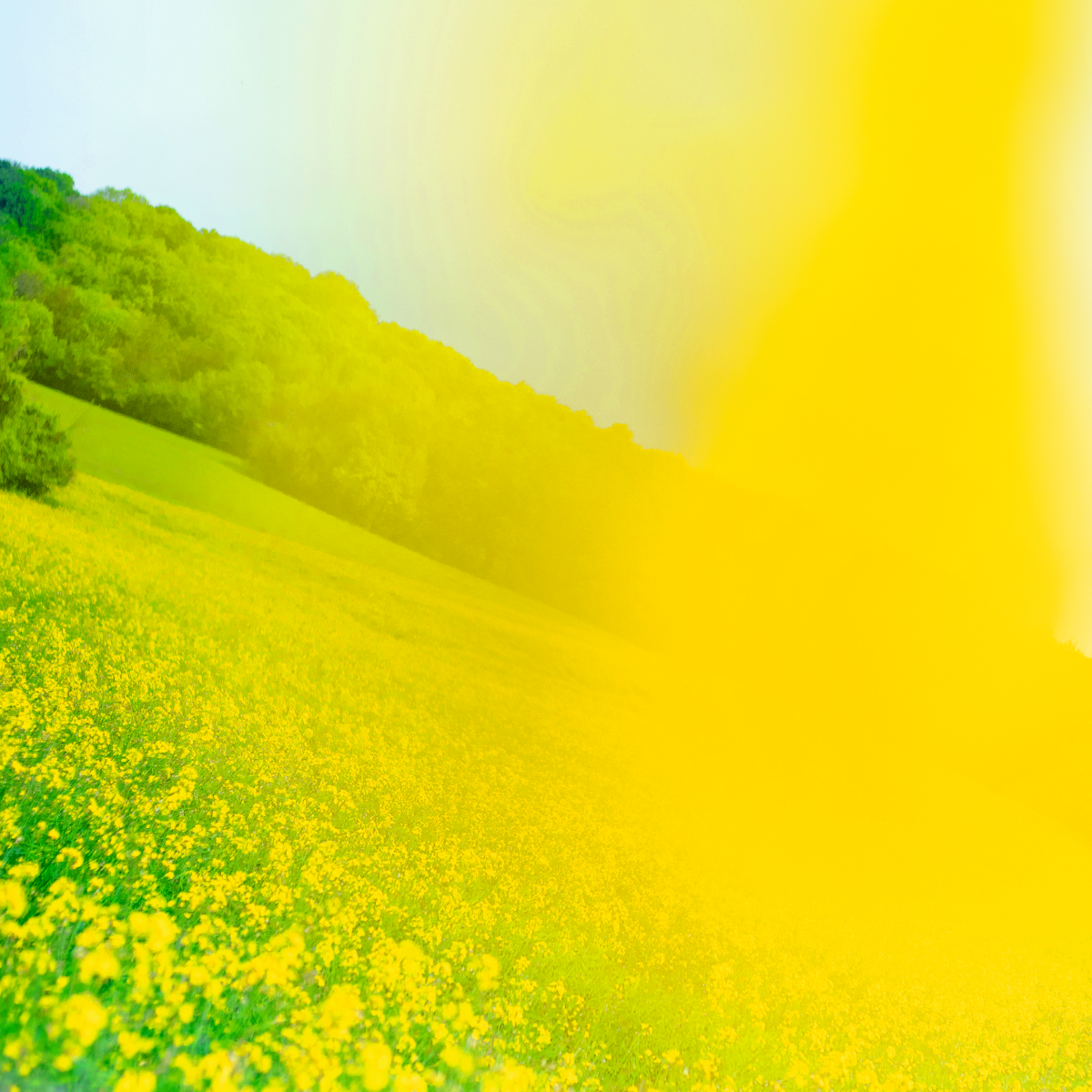 [キャンドル]ミスティックロード