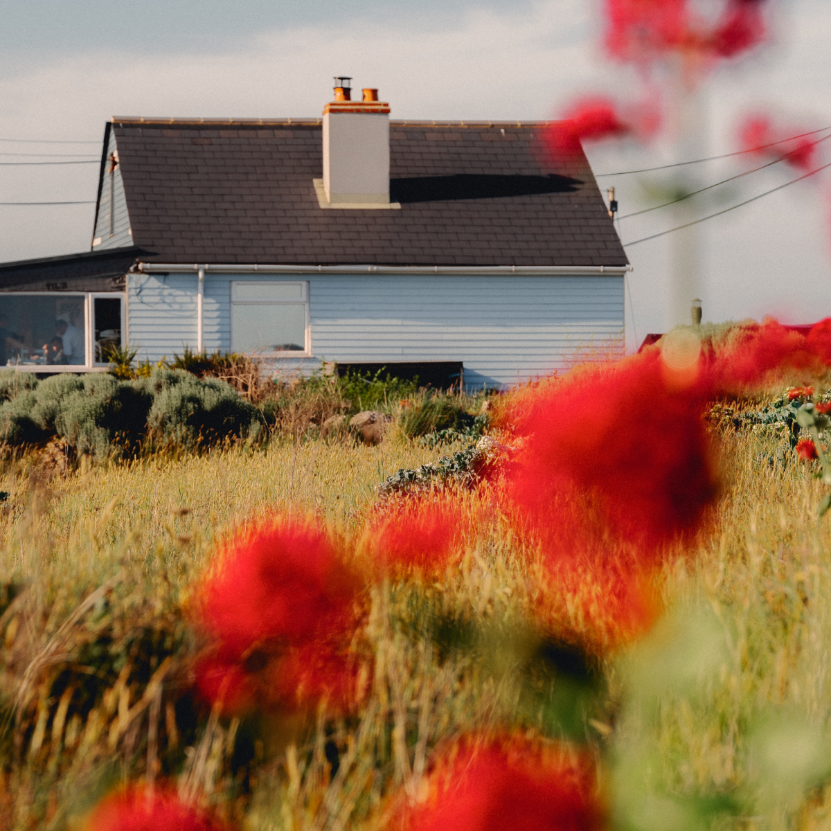 [ディフューザー]ストロベリーフィールド